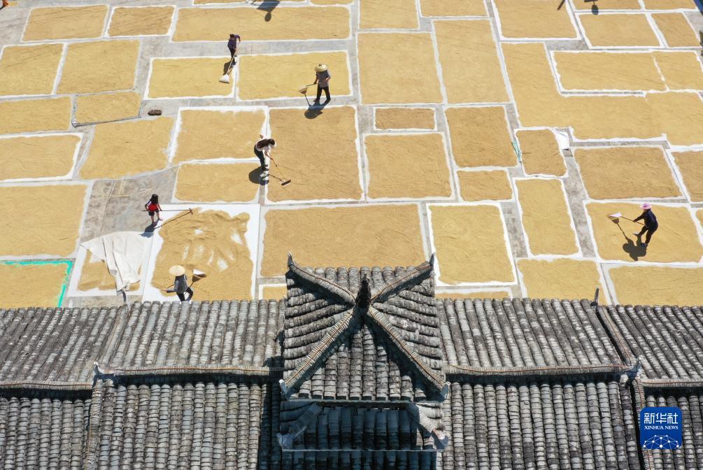 杰克棋牌手游网